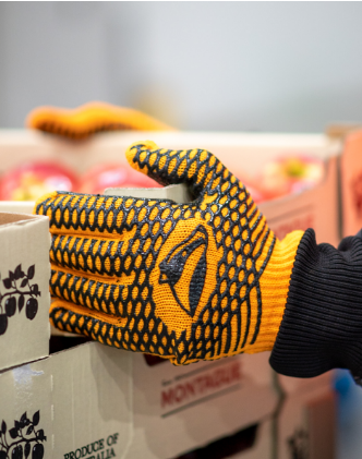 GLOVES